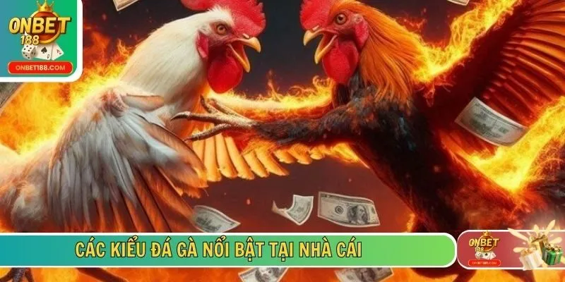 Các kiểu đá gà nổi bật tại nhà cái