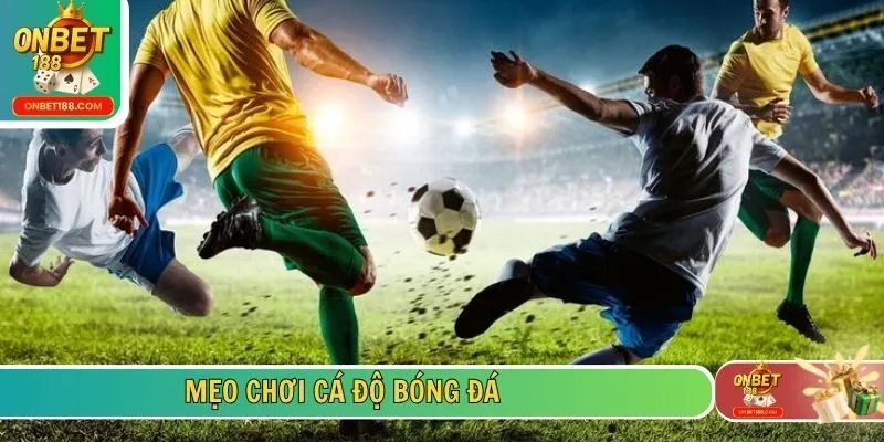 Mẹo chơi cá độ bóng đá