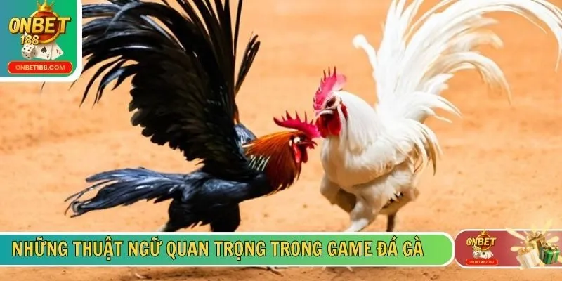 Những thuật ngữ quan trọng trong game đá gà