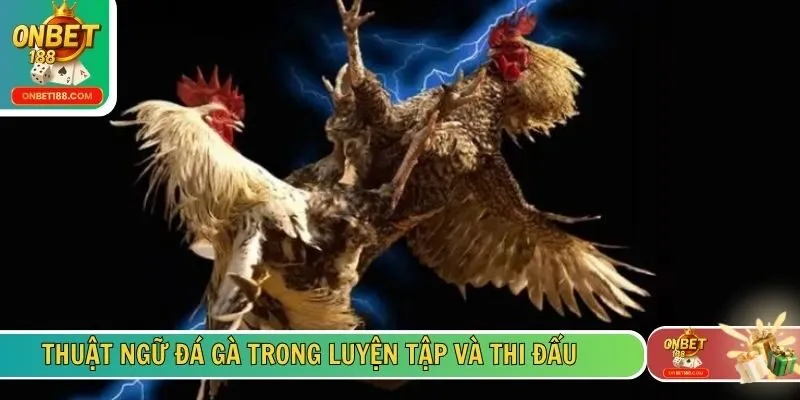 Thuật ngữ đá gà trong luyện tập và thi đấu